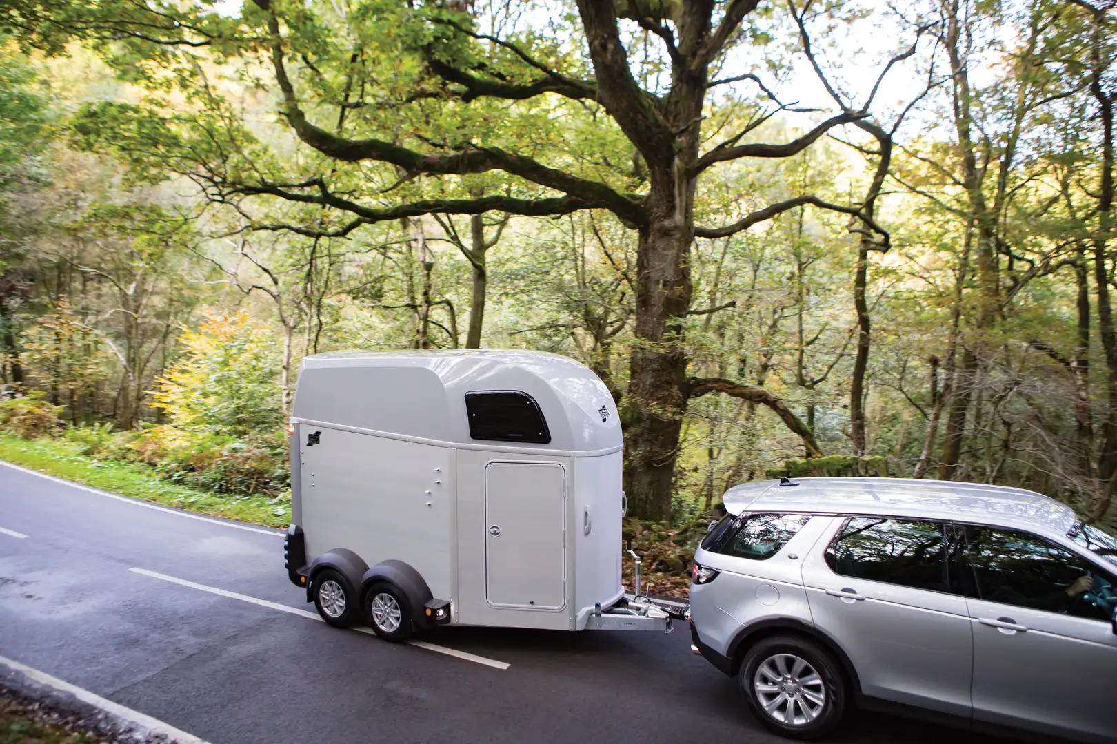 Van Chevaux Ifor Williams HBE 506 – Image 8