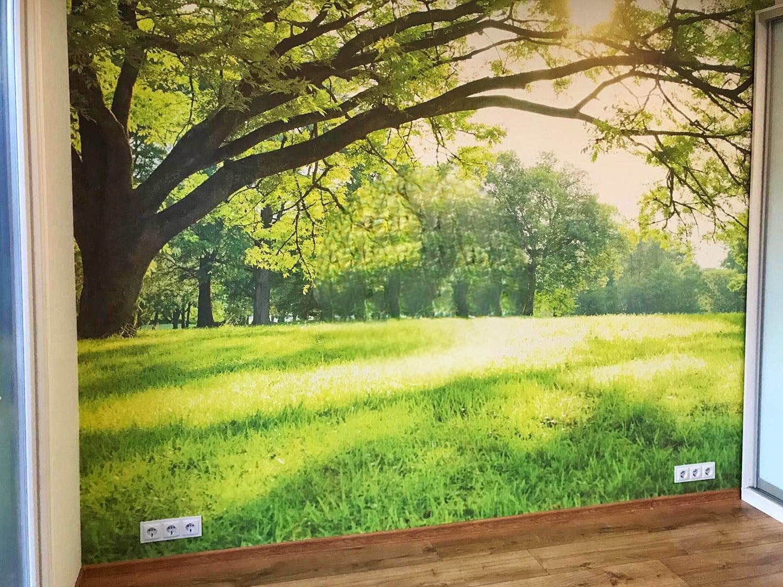 Belle maison modulaire de 48 m² – Image 13